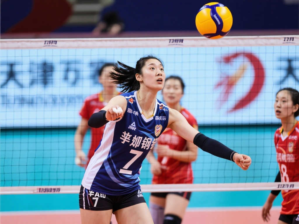 交流与合作